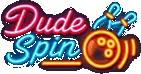 DudeSpin logo